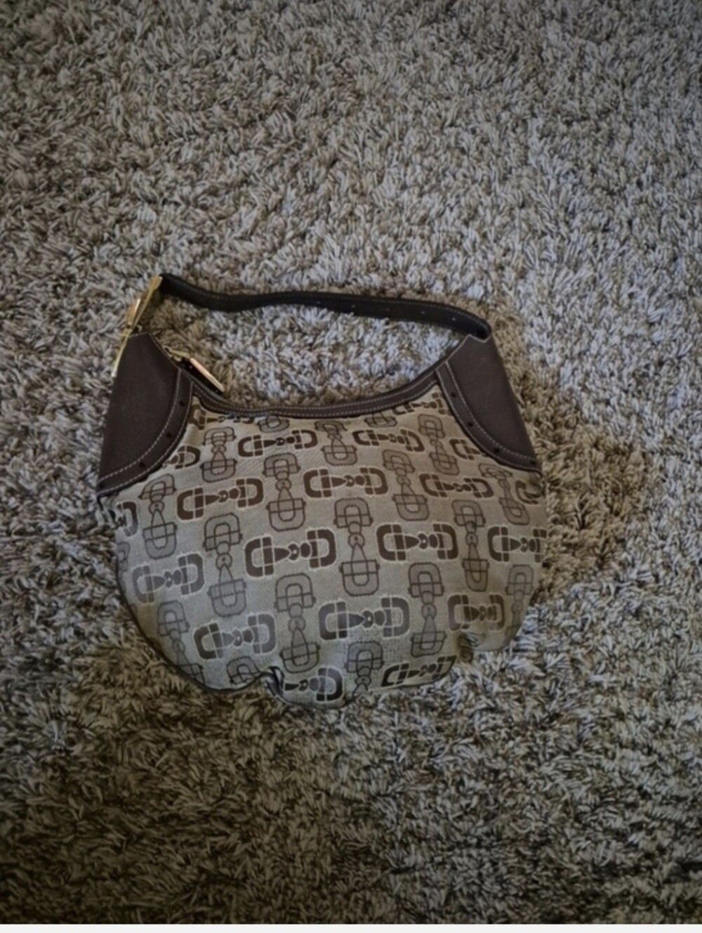 Neutral Patterned Hobo Bag in Brown and Cream